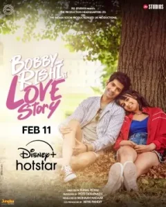 Bobby Aur Rishi Ki Love Story 2025 Bollywood Movie BollyFlix