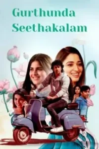Gurthunda Seethakalam 2022 Hindi + Telugu South Movie BollyFlix